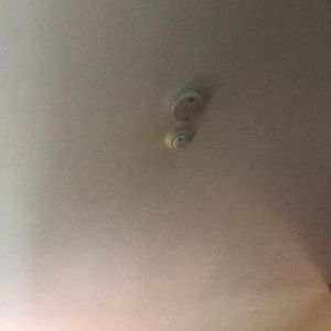 Meet your Posher, Collin